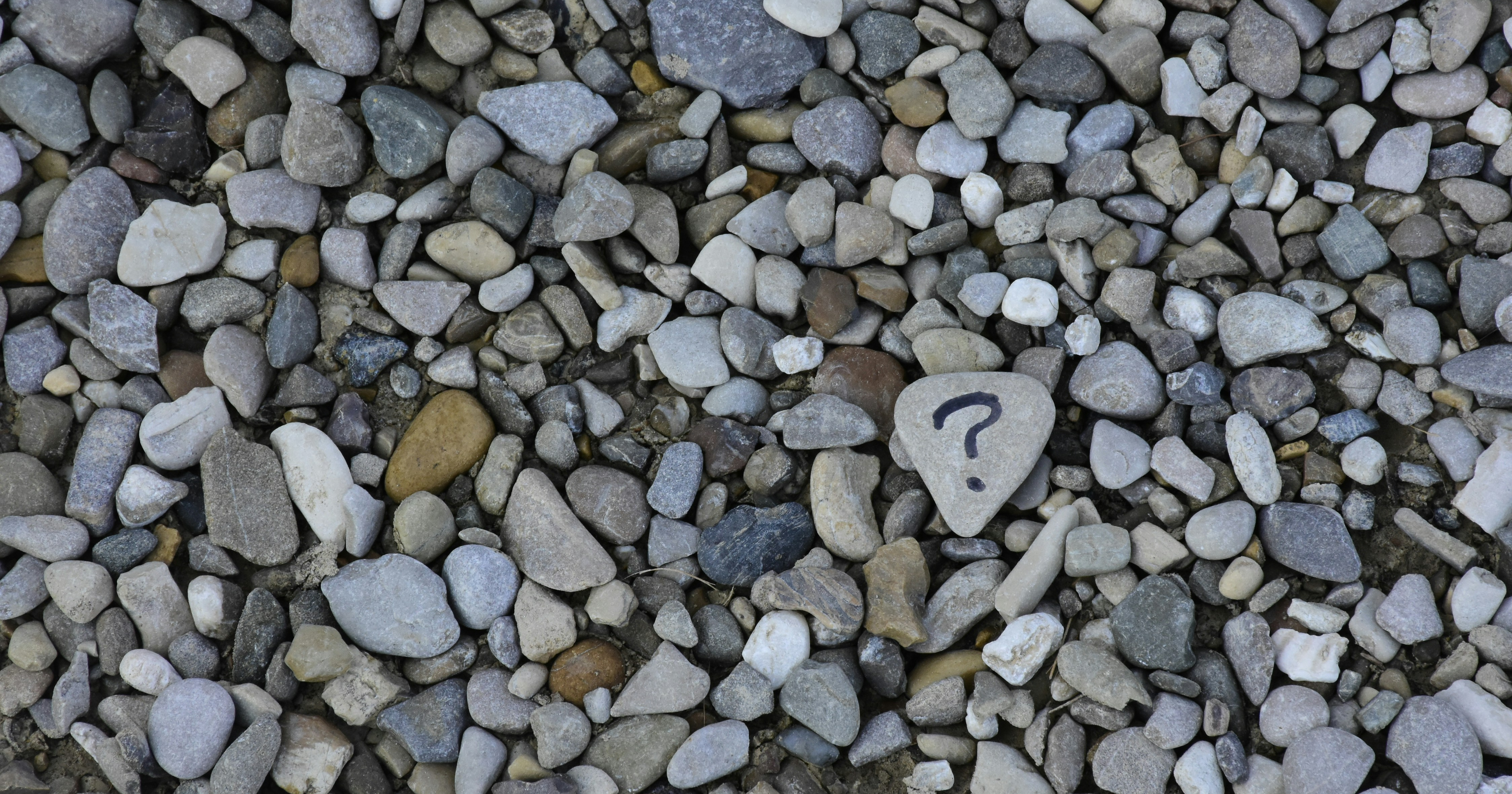 Cover Image for 何なんこのサイト